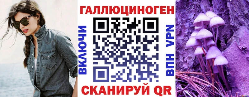 где можно купить наркотик  Гвардейск  Псилоцибиновые грибы ЛСД 