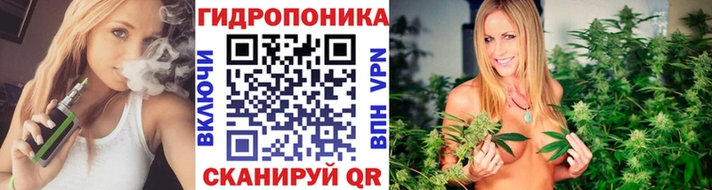 как найти закладки  Гвардейск  МАРИХУАНА Amnesia 